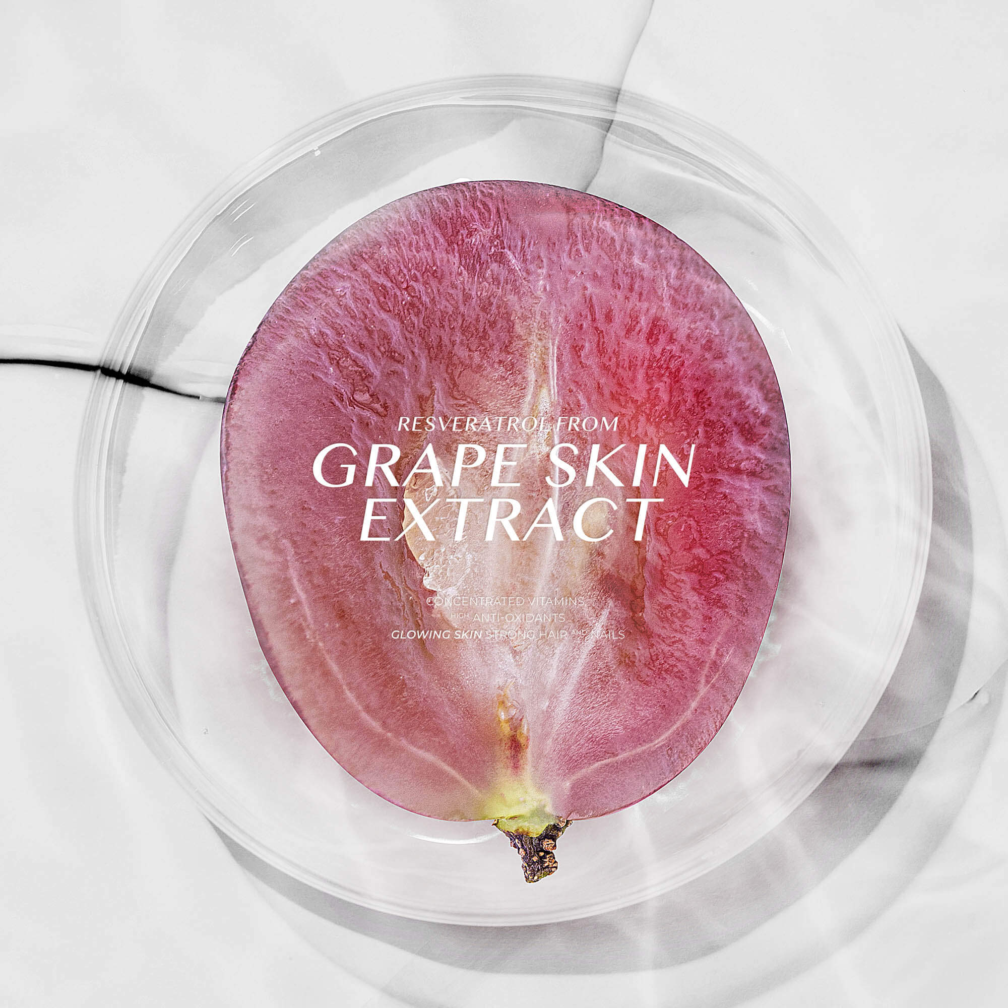 VERONIKA PLUS+ (RESVERATROL FROM GRAPE SKIN) - Image 6