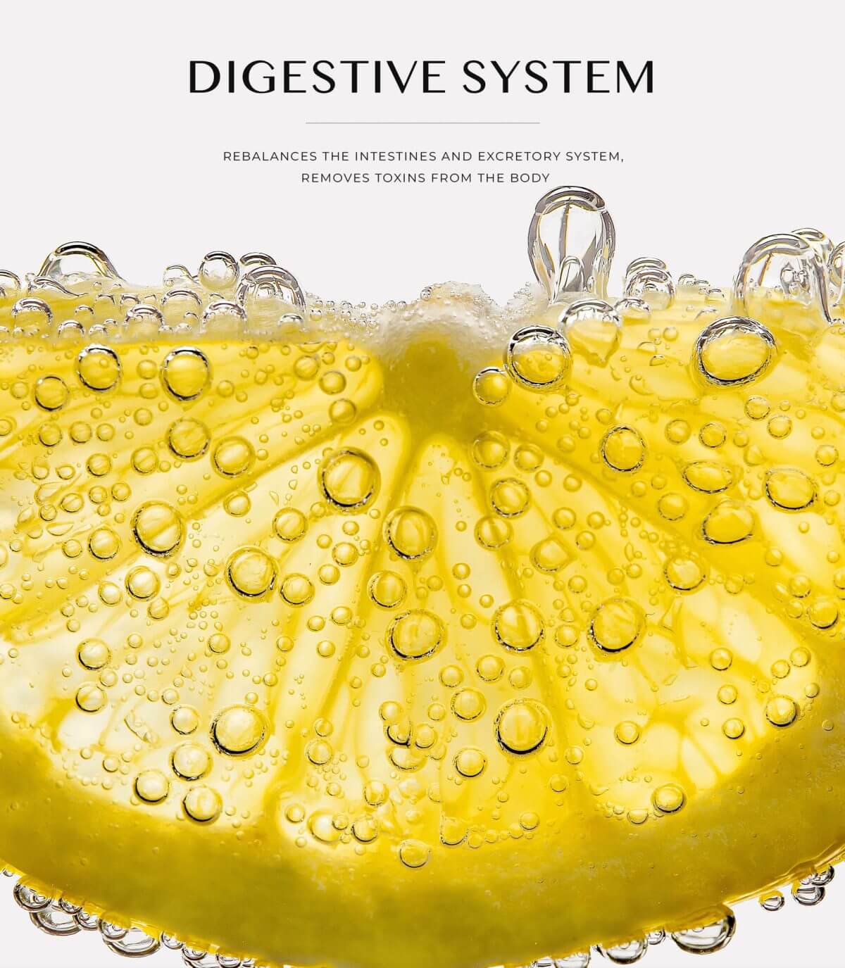 PREROTIC PLUS PROBIOTIC - Image 6