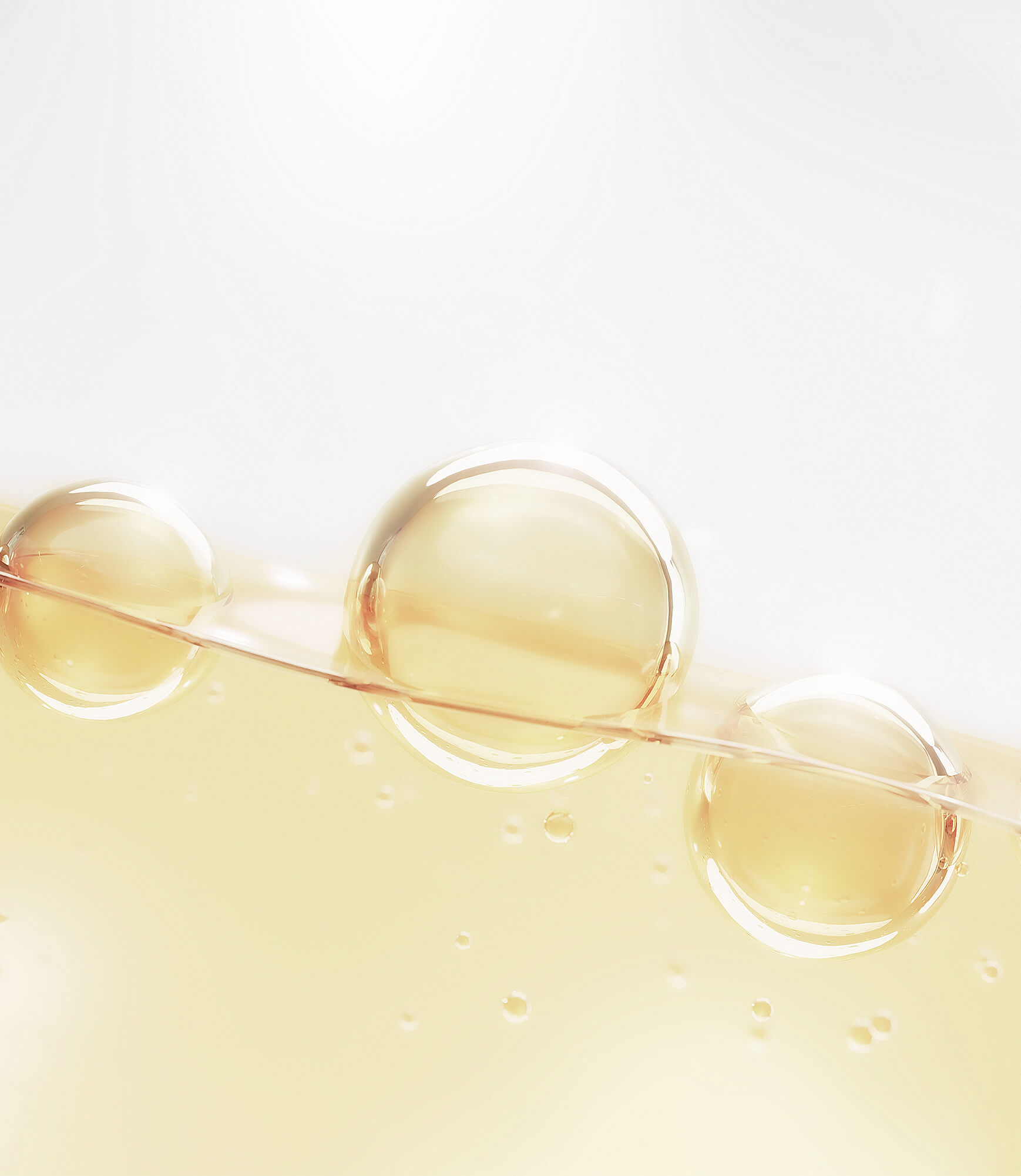 REVIVE FACTOR PLUS+ - Image 4