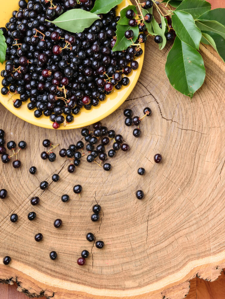 A,Plate,Of,Fresh,Maqui,Berries,On,A,Wooden,Background.