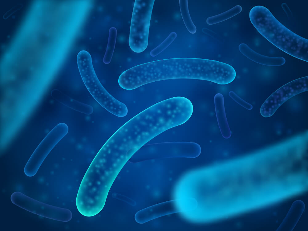 Micro,Bacterium,And,Therapeutic,Bacteria,Organisms.,Microscopic,Salmonella,,Lactobacillus,Or